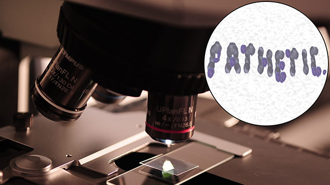 dnatured-super-bacteria-respond-to-new-antibiotics-by-spelling-that-all-you-got-under-microscope-small