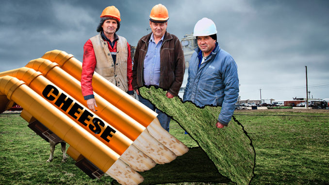 dnatured-fracking-cheese