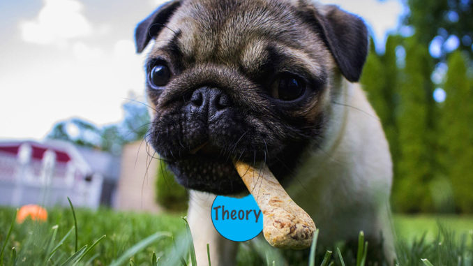 dnatured-pet-theory