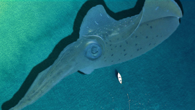 dnatured-unitsquid